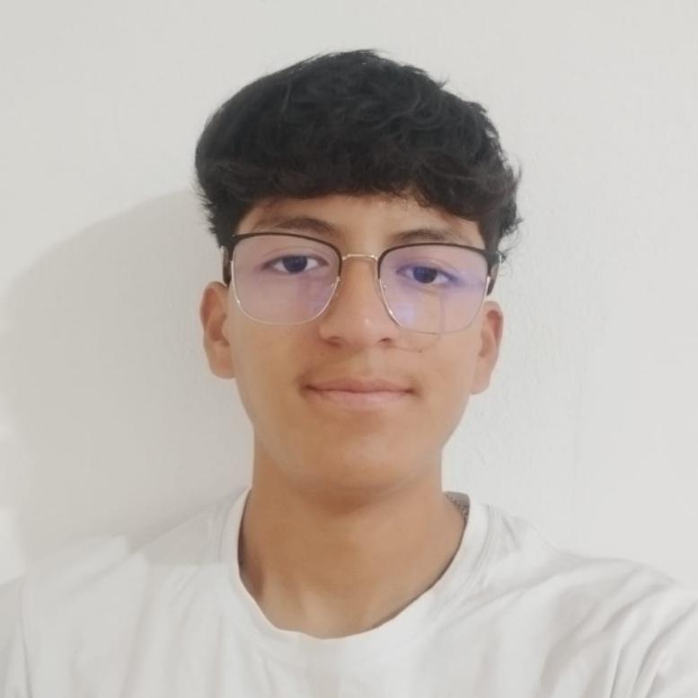 User Image