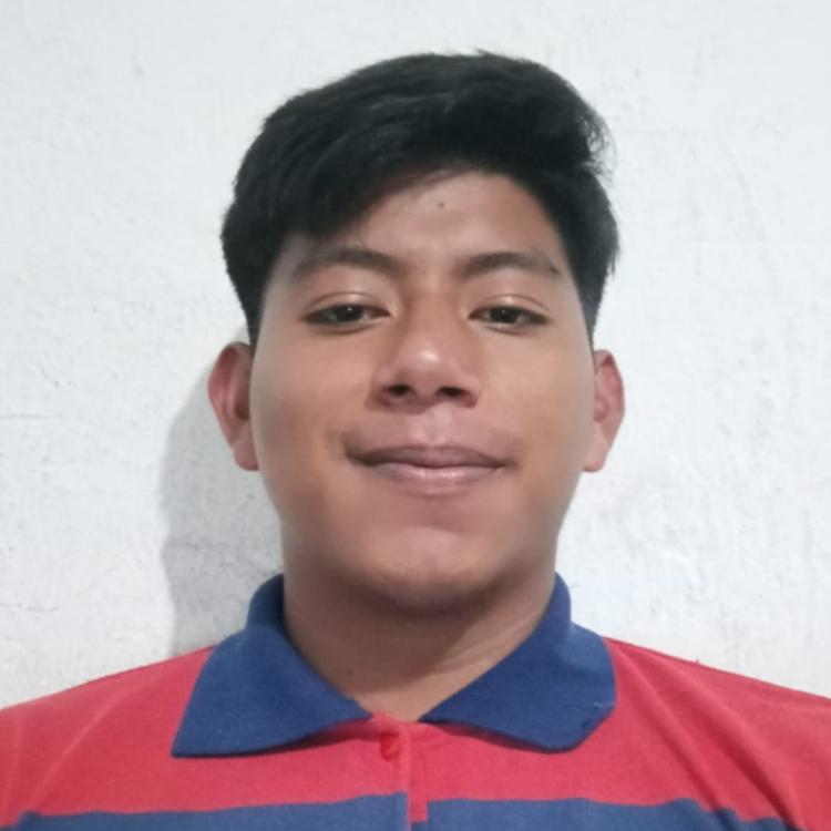 User Image