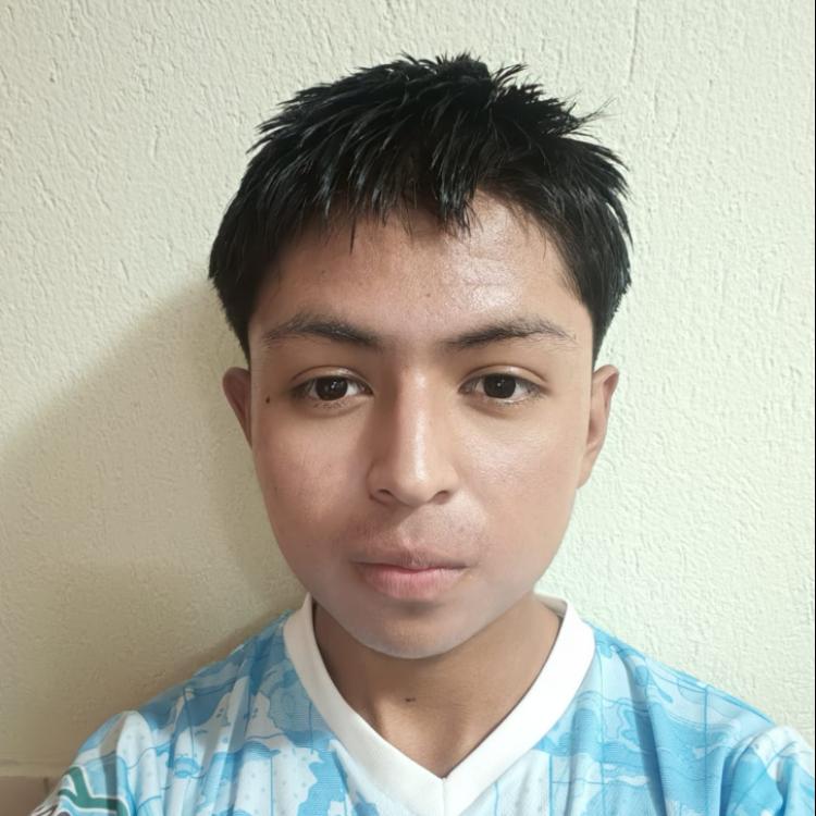 User Image