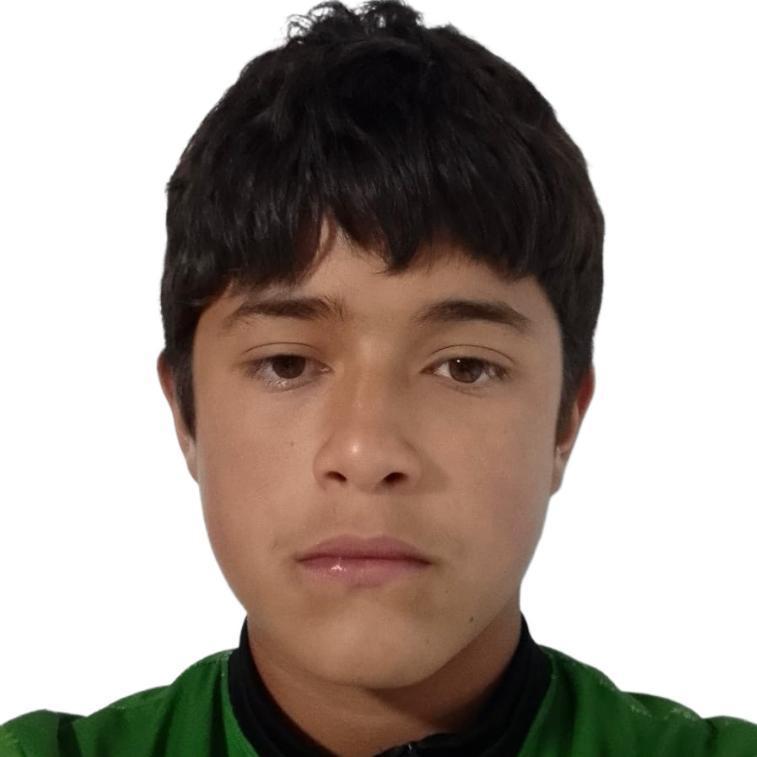 User Image