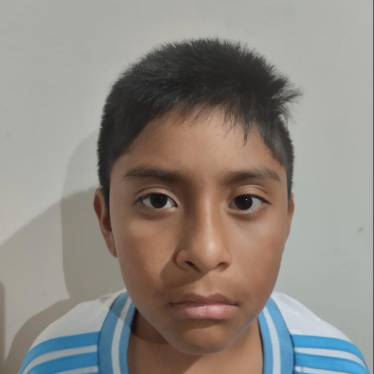 User Image