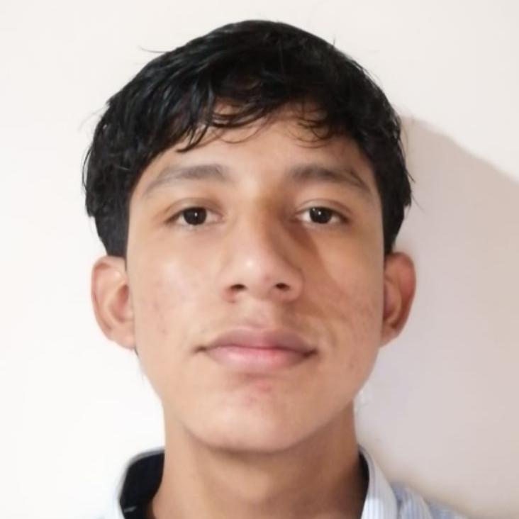 User Image