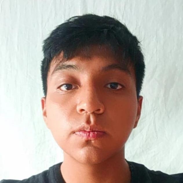 User Image