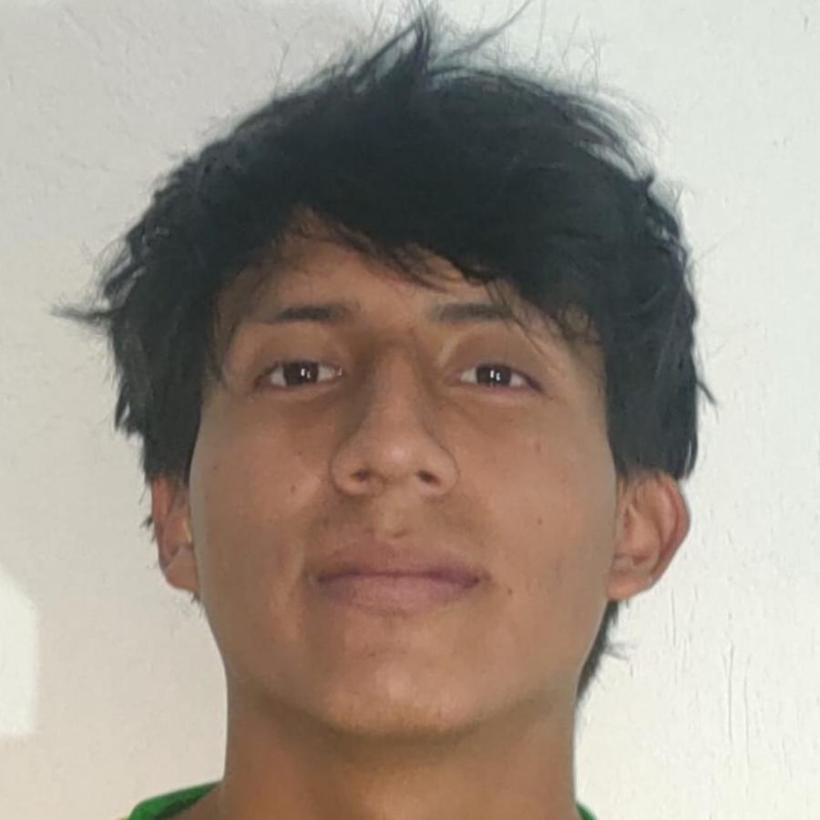 User Image