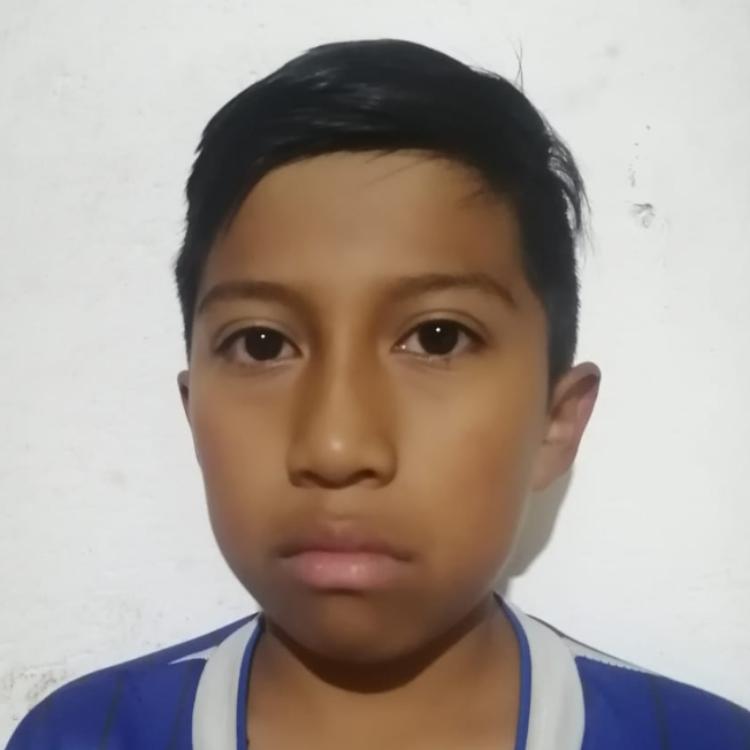 User Image