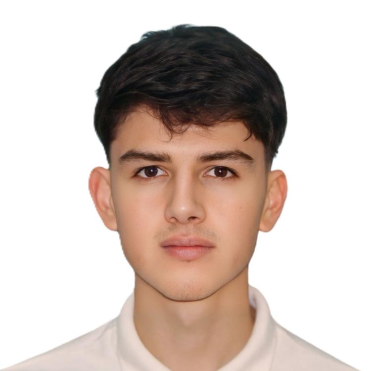 User Image